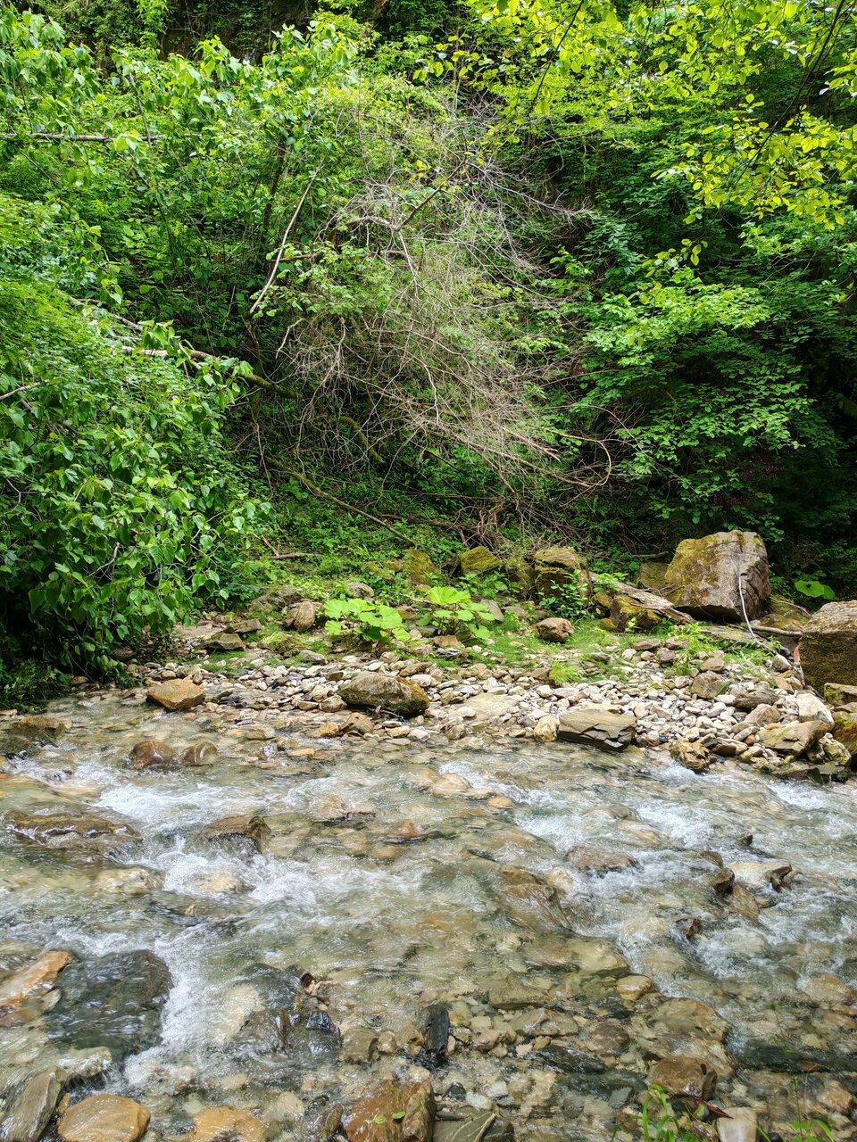 Гостиница Созвездие Якорная Щель-59
